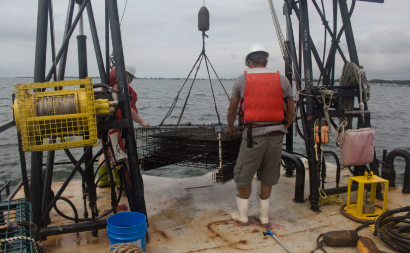 Working at NOAA with Mark Dixon